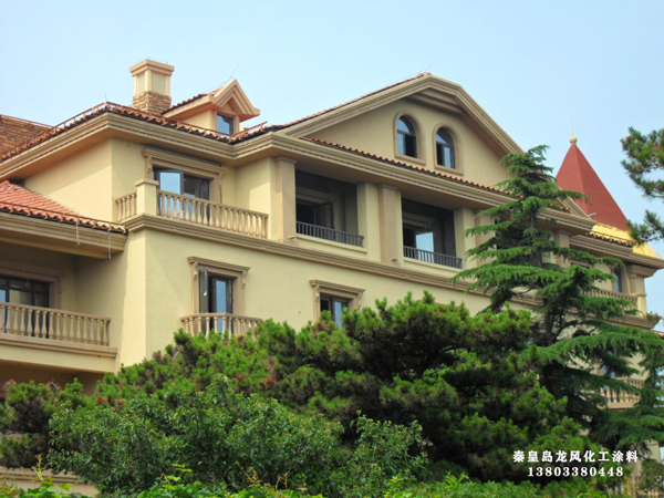 1590138535459549.png SDC13307.png